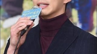 チェ・ジョンウォン、ストーキング容疑で送致されたのに…検察が再び警察に返送した理由は？