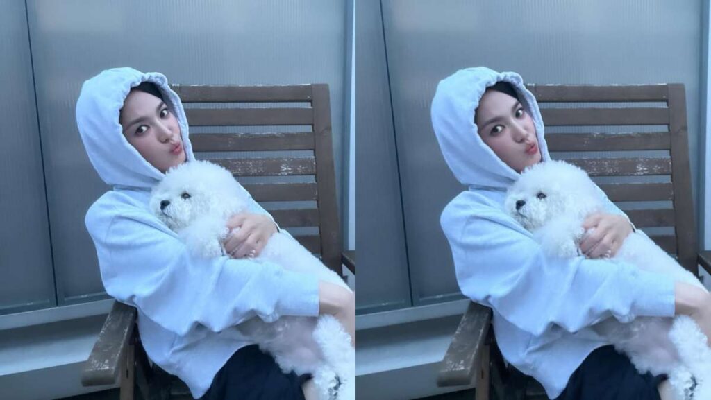 イメージ'破格'変身、今すぐ美容院に行きたくなるソン・ヘギョのヘアスタイル