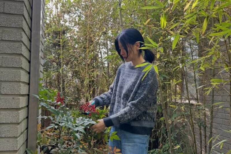 전성기 찍은 광고만 무려 ‘240개’… 데뷔하자마자 미모로 연예계 뒤집은 여배우 패션