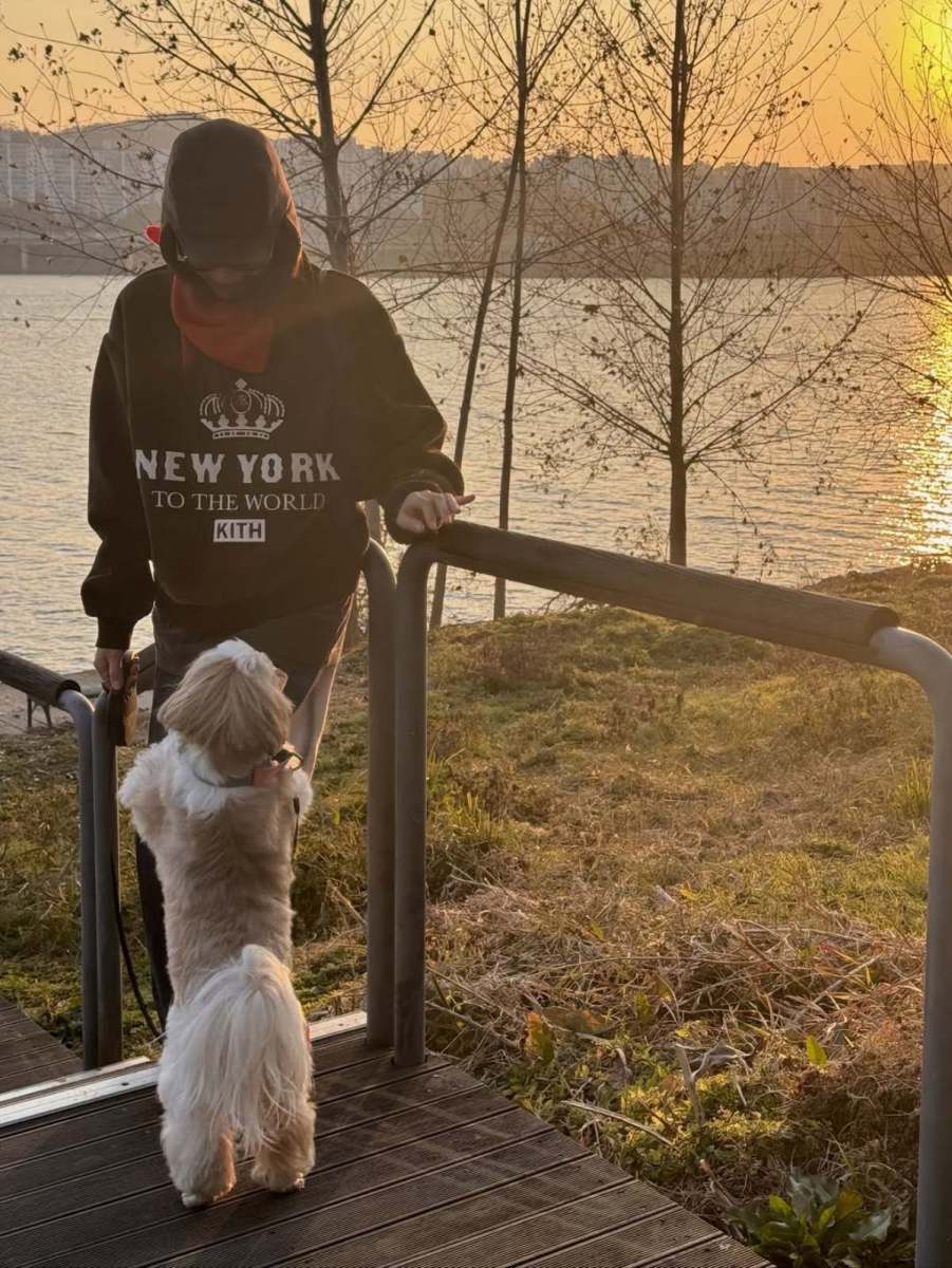 顔もきれいなのに服もよく着こなす...チェ・ジョンアン「冬のデイリールック