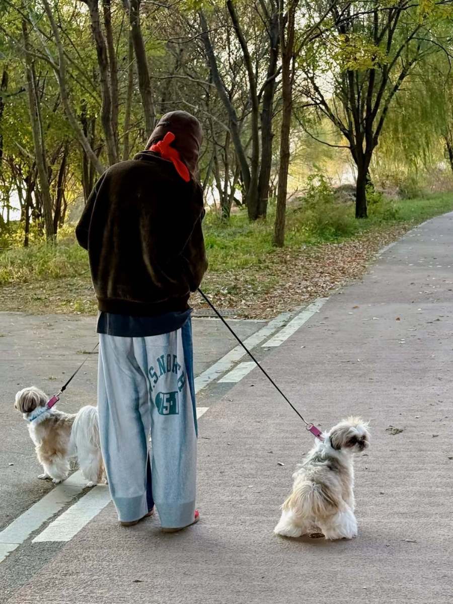 顔もきれいなのに服もよく着こなす...チェ・ジョンアン「冬のデイリールック