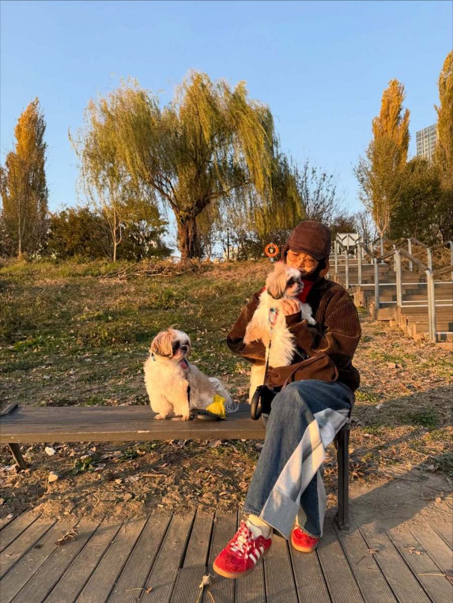 顔もきれいなのに服もよく着こなす...チェ・ジョンアン「冬のデイリールック