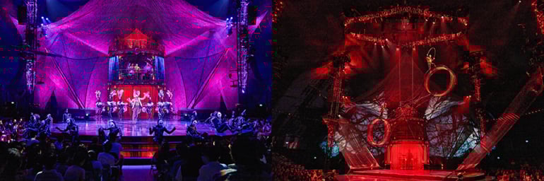 太陽のサーカスくじら盛況