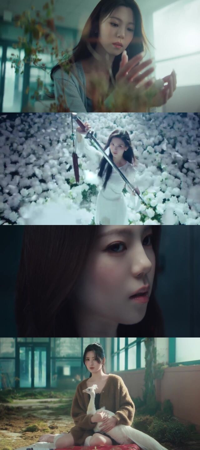 「私を照らした君は」…ドドリ、韓国のアイデンティティを宿した新たな音色『夢のようだった』 