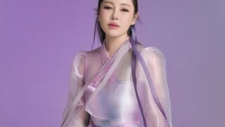 ソン・ガイン、ビザ問題で米国コンサートを中止