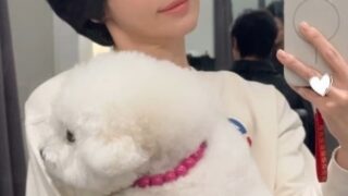 ソン・ヘギョ、大胆なショートカット