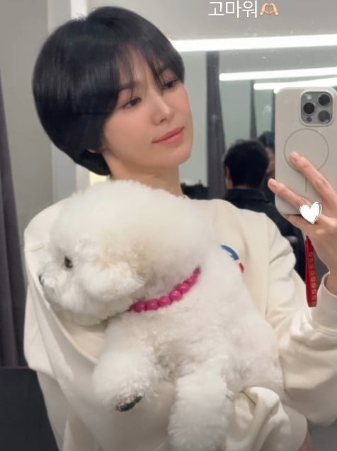 ソン・ヘギョ、大胆なショートカット