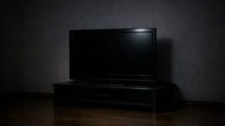 日本の若者層で“テレビ離れ”加速…29歳以下単身男性の40％が『テレビなし』