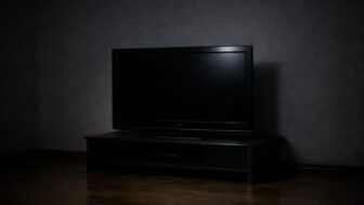 日本の若者層で“テレビ離れ”加速…29歳以下単身男性の40％が『テレビなし』