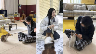 キム・ヨナ、子犬・猫と撮影現場...飾らない笑顔に「ほっこり」。