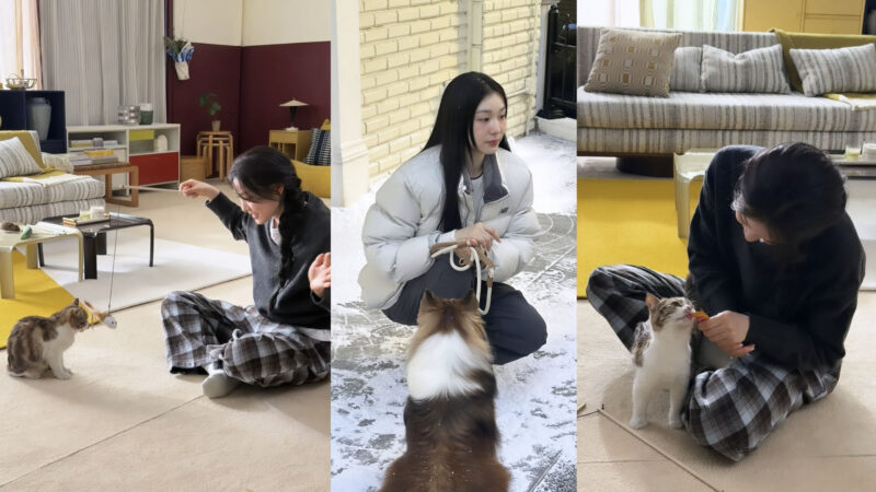 キム・ヨナ、子犬・猫と撮影現場...飾らない笑顔に「ほっこり」。