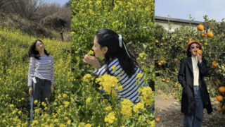 イ・ヨンエ(55歳)、菜の花の中のクアンクストライプ...清楚美'そのもの'