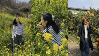 イ・ヨンエ(55歳)、菜の花の中のクアンクストライプ...清楚美'そのもの'