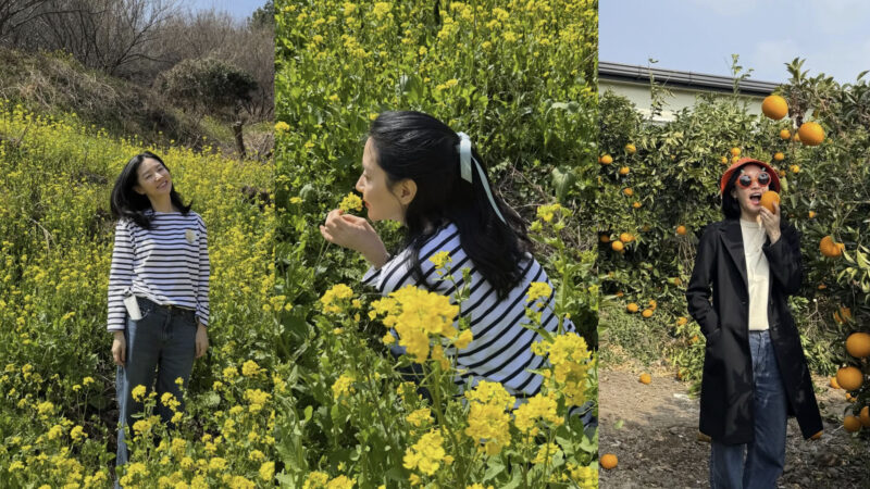 イ・ヨンエ(55歳)、菜の花の中のクアンクストライプ...清楚美'そのもの'