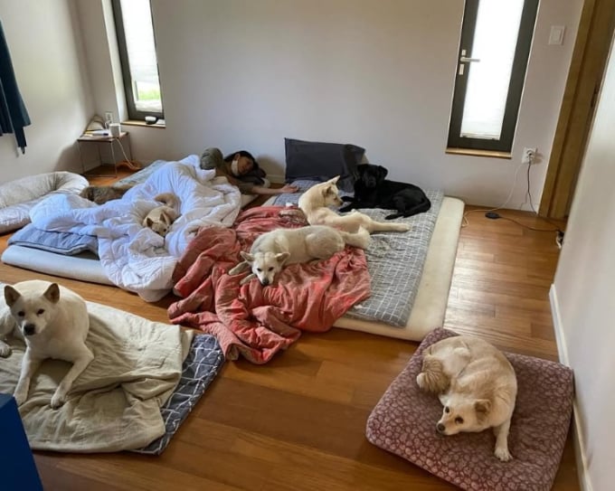 イ・ヒョリの清潔論争