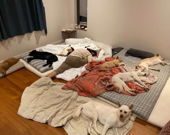 イ・ヒョリの清潔論争