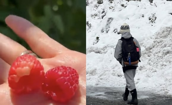 イ・フィジェ♥ムン・ジョンウォン、4年ぶりの近況