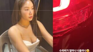 修理代はいくらかかるんだろう…ソユ、車のリアランプが「ガシャン」と壊れたのは何事？
