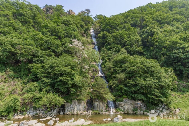 "人生で行った中で一番良かった" 90mの崖から降り注ぐ白い水の流れの正体