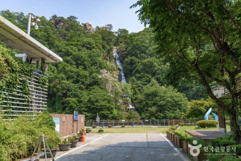 "人生で行った中で一番良かった" 90mの崖から降り注ぐ白い水の流れの正体