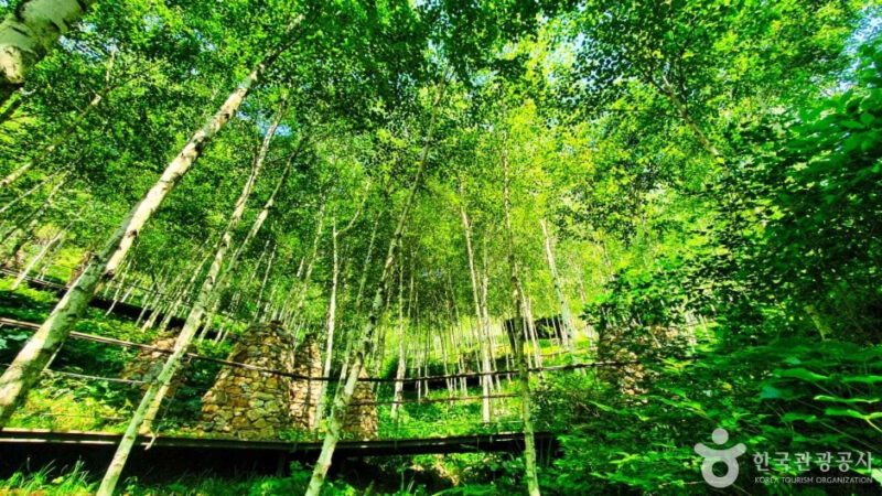 "まだここを知らないの？"一年にたった2週間、予約戦争をしてでも行くべき花街の正体