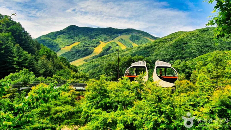 "まだここを知らないの？"一年にたった2週間、予約戦争をしてでも行くべき花街の正体