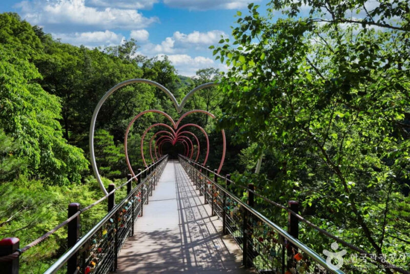 "まだここを知らないの？"一年にたった2週間、予約戦争をしてでも行くべき花街の正体