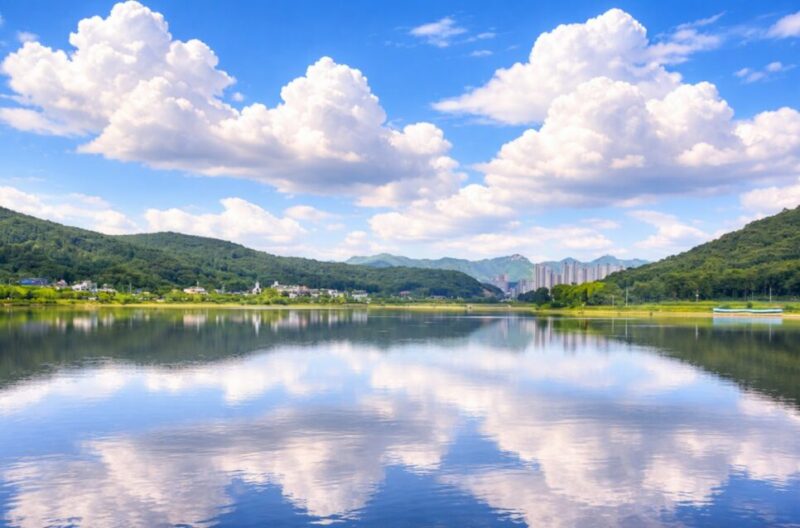 "ソウルの近くに58万㎡の桜の湖があるなんて"...毎年春になると人が集まる隠れた名所