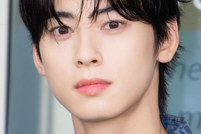 「脱税疑惑」のチャ・ウヌ、予想外の行動…賛否両論