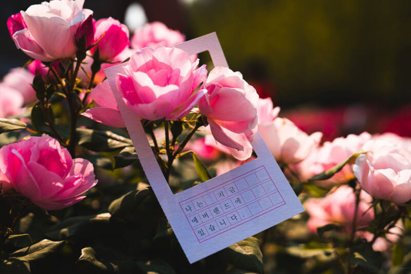「あと3日を切りました」120万本の花を誇る首都圏を代表する春の花祭り