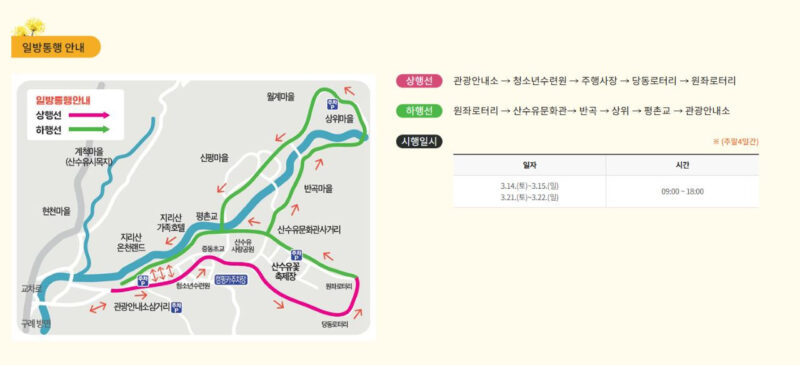 3月15日現在、見事に咲き誇る全国随一のサンシュユの群落祭！今週初めに見頃を迎える見込み