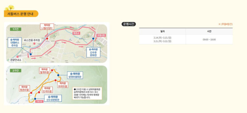 3月15日現在、見事に咲き誇る全国随一のサンシュユの群落祭！今週初めに見頃を迎える見込み