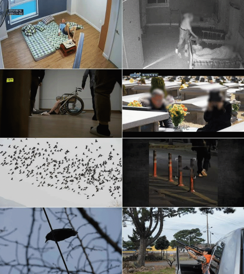 90代の女性、車椅子に縛られた状態で死亡…「無差別暴行」