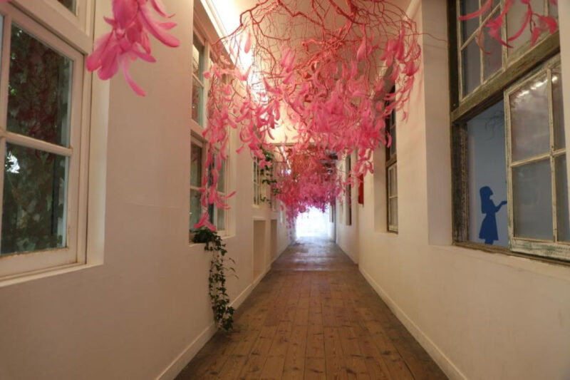 「ガソリン代も惜しくない、コスパ抜群！」ソウル近郊・西海岸の桜第2弾、癒しの最高コース4選