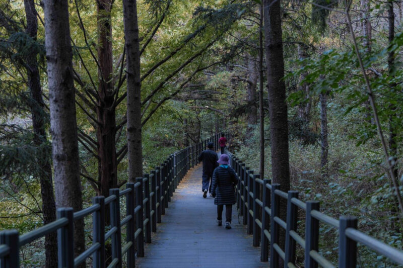 「登山靴がなくても大丈夫」軽やかだけど景色は重厚な、ハイキングデートのおすすめ