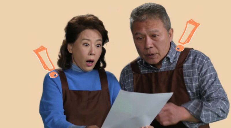 前作もその前の作品も大失敗し、「危機説」まで囁かれていたが、視聴率37％を記録しKBSを救った韓国ドラマ