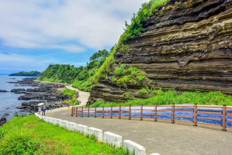 「国内で唯一サボテンが生えている済州島？」こんな場所は生まれて初めて見ました