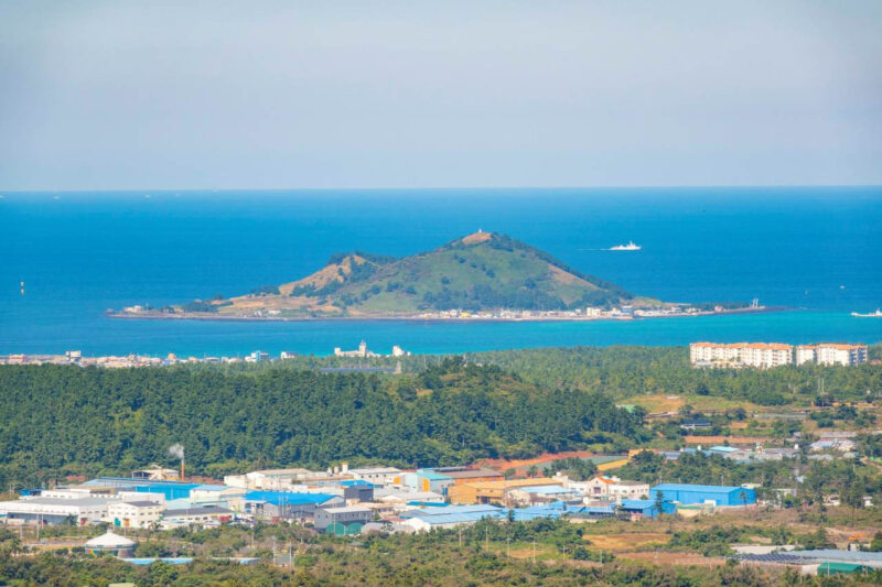 「国内で唯一サボテンが生えている済州島？」こんな場所は生まれて初めて見ました