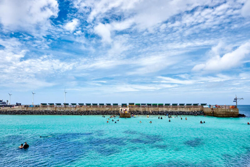 「国内で唯一サボテンが生えている済州島？」こんな場所は生まれて初めて見ました