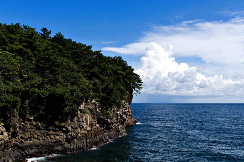 「済州島の人ですらここを知りません」失敗知らずの国内No.1コース