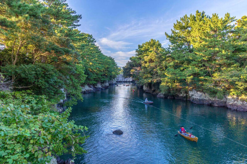 「済州島の人ですらここを知りません」失敗知らずの国内No.1コース