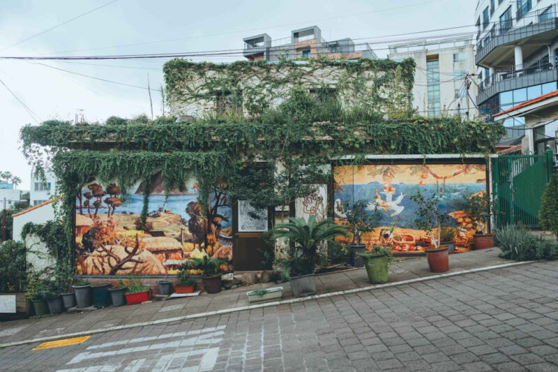 「済州島の人ですらここを知りません」失敗知らずの国内No.1コース