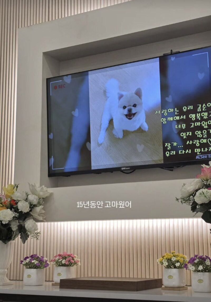 風刺、突然の「訃報」…ファンが「号泣」