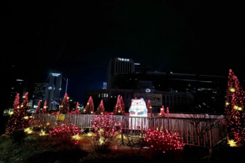 「ソウルにこんな場所ができたの？」昼は3万本の花が咲き誇る花道、夜は赤い照明が輝くソウルの春