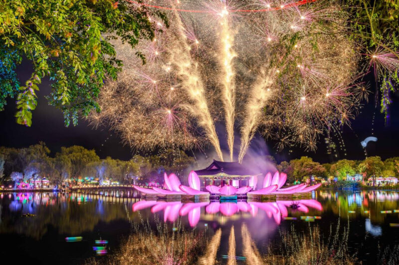 「汝矣島の桜の5倍の長さ？」地元の人だけが知る秘密の桜の名所、史上最高の忠清道旅行スポット