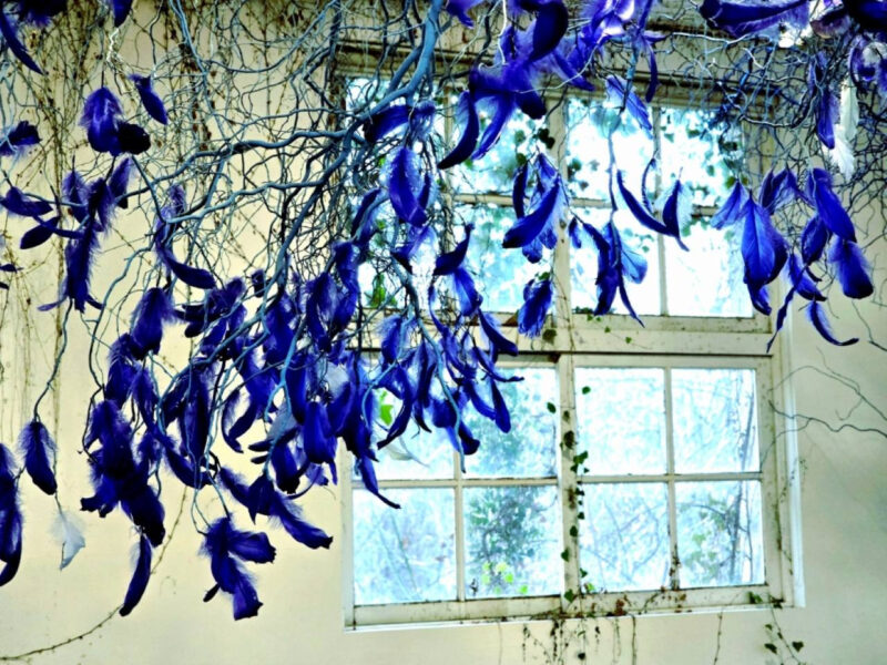 「汝矣島の桜の5倍の長さ？」地元の人だけが知る秘密の桜の名所、史上最高の忠清道旅行スポット