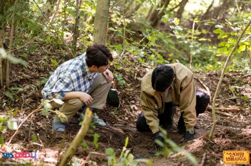 最近みんなこれを見る...たった6回で視聴率12.8%で全部「圧倒」してしまった韓国ドラマ。