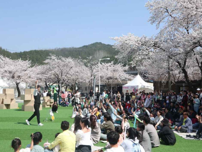 "30年ぶりの過去最大規模"というから、今週末は見逃したら後悔する名物「桜まつり」。