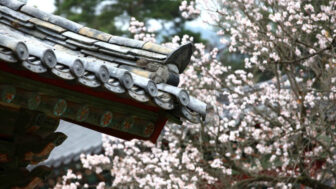 "補正1もしませんでした"4月に行くべきおすすめスポットリスト