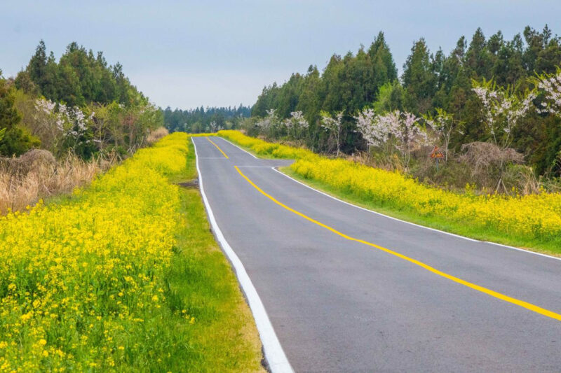 "補正1もしませんでした"4月に行くべきおすすめスポットリスト